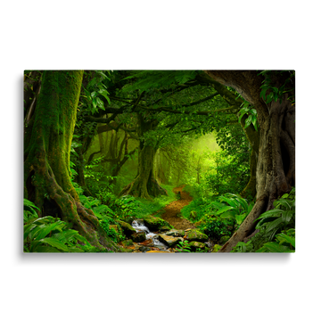 TROPICAL FOREST